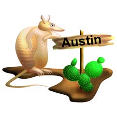 Hanging out in Austin